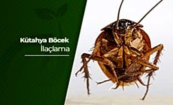 Kütahya Böcek İlaçlama