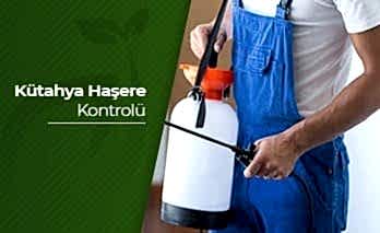 Kütahya Haşere Kontrolü