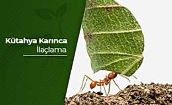 Kütahya Karınca İlaçlama