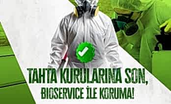 Tahtakurusu: Evinizdeki Gizli Tehlike