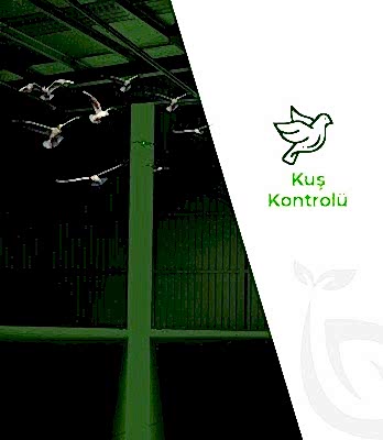 Kuş Kontrolü